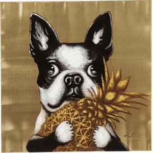 Bild Touched Dog with Pineapple 80x80cm
