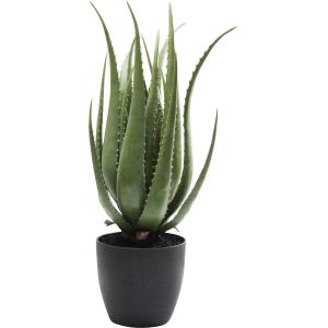 Deko Pflanze Aloe 69cm