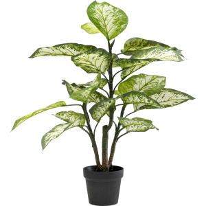 Deko Pflanze Dieffenbachie 100cm