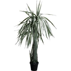 Deko Pflanze Dragon Tree 155cm