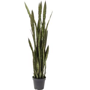 Deko Pflanze Sansewieria 155cm