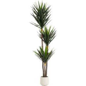 Deko Pflanze Yucca 250cm