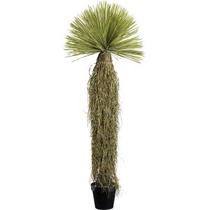 Deko Pflanze Yucca Rostrata 180cm