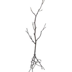 Garderobenständer Tree Branch 183cm