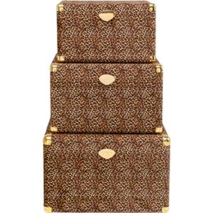 Truhe Wild Animal Leo (3/Set)