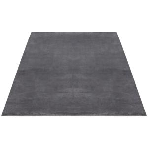 Dinarsu Teppich Maximo anthrazit B/L: ca. 160x230 cm
