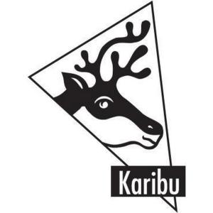 Karibu Hochbeet grau Holz B/H/L: ca. 178x97x97 cm