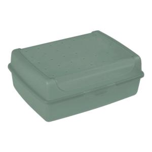keeeper Click-Box grün B/H/L: ca. 13x7x17 cm