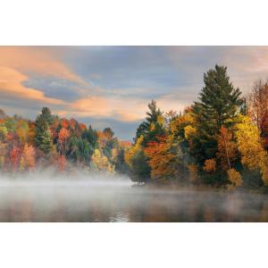 Keilrahmenbild Herbstwald B/L: ca. 118x78 cm