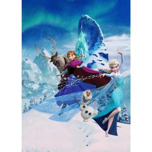 Komar Fototapete Frozen Elsas Magic DX4-014 Frozen B/H: ca.…