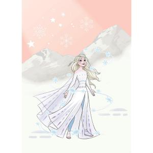 Komar Fototapete Frozen Winter Magic IADX4-041 Frozen weiß…