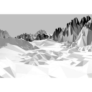 Komar Fototapete Icefields 8-208 grauschwarz weiß B/H: ca.…