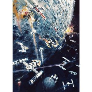 Komar Fototapete Star Wars Classic Dogfight B/L: ca. 200x27…