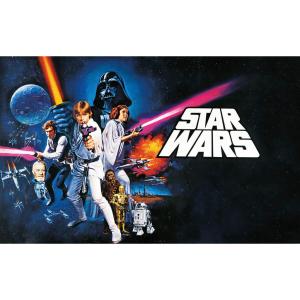 Komar Fototapete Star Wars Poster Classic 1 B/L: ca. 400x25…