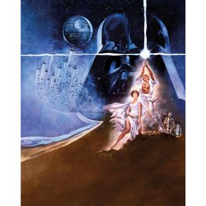 Komar Fototapete Star Wars Poster Classic 2 B/L: ca. 200x25…