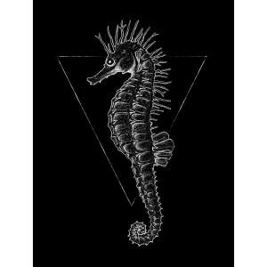 Komar Poster Sea Horse Black Tiere B/L: ca. 30x40 cm