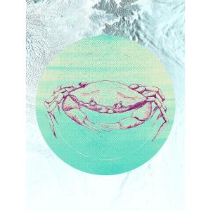 Komar Wandbild Crab Sea Tiere B/L: ca. 30x40 cm