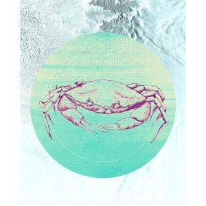 Komar Wandbild Crab Sea Tiere B/L: ca. 40x50 cm