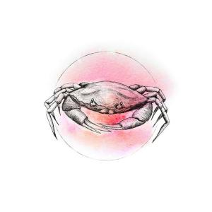 Komar Wandbild Crab Watercolor Tiere B/L: ca. 30x40 cm