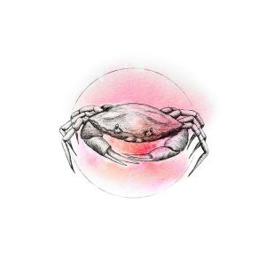 Komar Wandbild Crab Watercolor Tiere B/L: ca. 50x70 cm