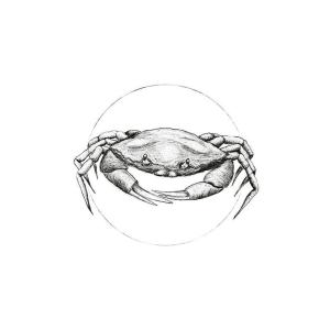 Komar Wandbild Crab White Tiere B/L: ca. 50x70 cm