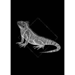Komar Wandbild Iguana Black Tiere B/L: ca. 50x70 cm