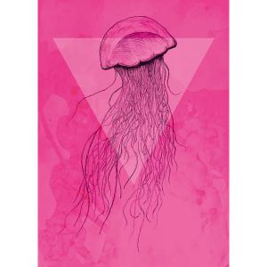 Komar Wandbild Jellyfish Pink Tiere B/L: ca. 50x70 cm