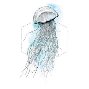 Komar Wandbild Jellyfish Watercolor Tiere B/L: ca. 40x50 cm