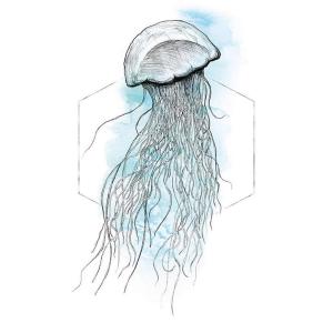 Komar Wandbild Jellyfish Watercolor Tiere B/L: ca. 50x70 cm