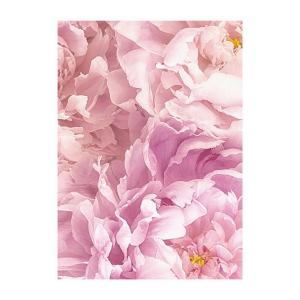 Komar Wandbild Soave Blume B/L: ca. 30x40 cm