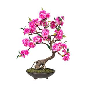 Kunstpflanze Bonsai Cerasum pink Kunststoff B/H/L: ca. 28x5…