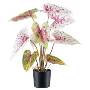 Kunstpflanze Caladium Miss Muffet rot Kunststoff B/H/L: ca.…