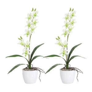 Kunstpflanze Orchidee Dendrobie grün Kunststoff B/H/L: ca.…