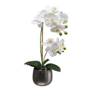 Kunstpflanze Phalaenopsis weiß Kunststoff B/H/L: ca. 16x42x…