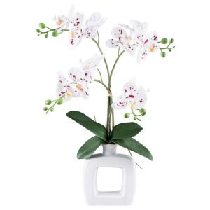 Kunstpflanze Phalaenopsis weiß Kunststoff B/H/L: ca. 16x42x…