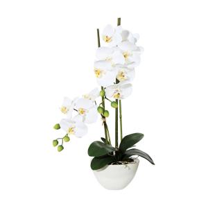 Kunstpflanze Phalaenopsis weiß Kunststoff B/H/L: ca. 17x55x…