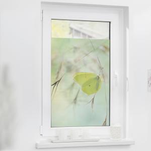 LICHTBLICK Fensterfolie Schmetterling grün B/L: ca. 50x50 c…