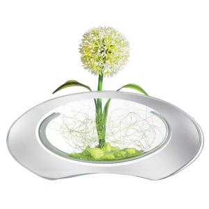 POCOline Vase klar Glas B/H/L: ca. 4,5x9,5x20 cm