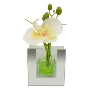 POCOline Vase klar Glas B/H/L: ca. 4x9x8,5 cm