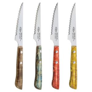 SAN IGNACIO Steakmesser-Set EVERGREEN bunt Edelstahl 4 tlg.