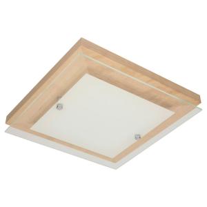 SPOT Light Deckenleuchte Finn 4022960