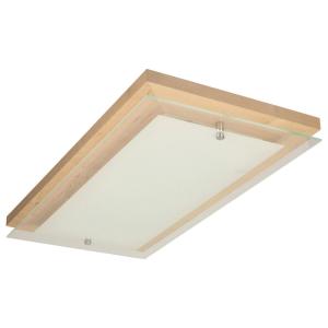 SPOT Light Deckenleuchte Finn 4032960