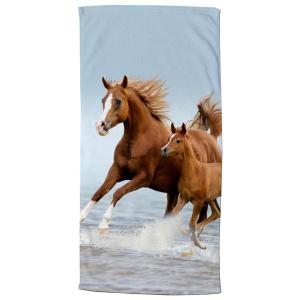 Strandtuch Free Multi Polyester B/L: ca. 75x150 cm