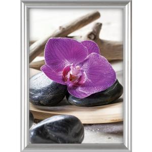 The Wall Bilderrahmen silber Kunststoff B/L: ca. 60x80 cm