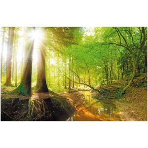 The Wall Wandbild Wald B/L: ca. 58x90 cm