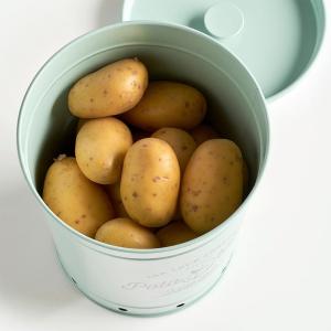Zeller Vorratsdose Kartoffel mint B/H/L: ca. 19,5x21,5x16,5…